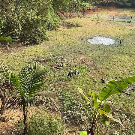 Hostelexp, Gokarna - A Slow-Paced Backpackers Community المظهر الخارجي الصورة