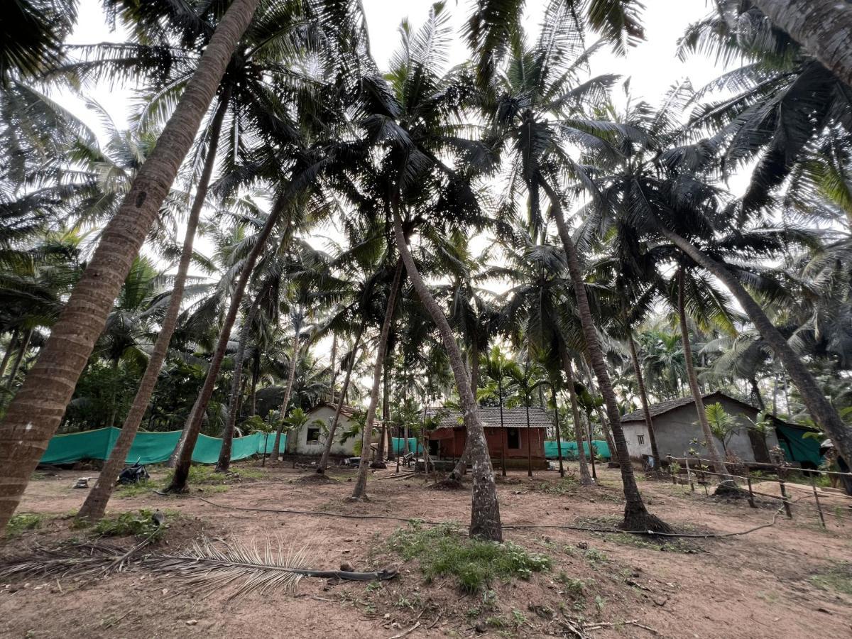 Hostelexp, Gokarna - A Slow-Paced Backpackers Community المظهر الخارجي الصورة