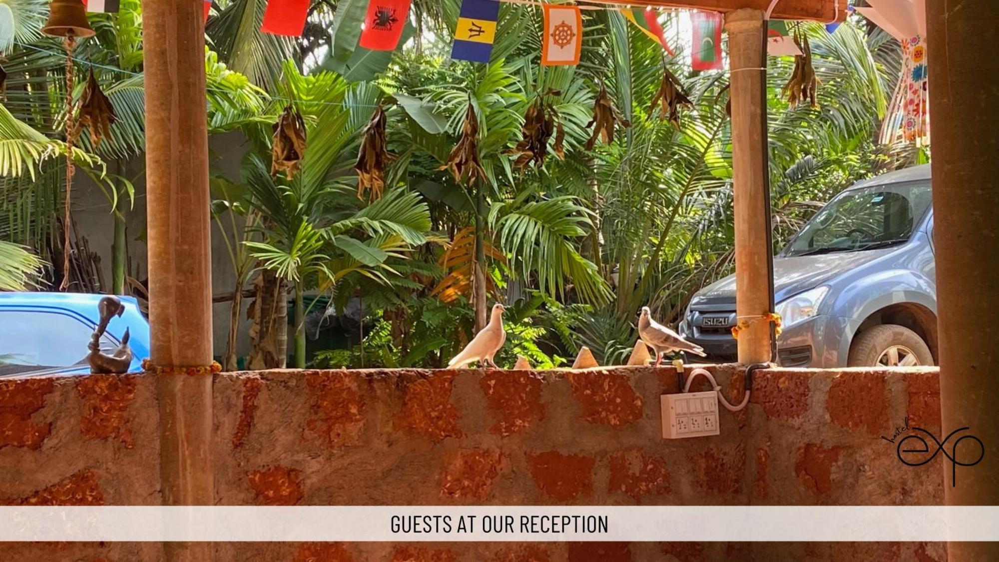 Hostelexp, Gokarna - A Slow-Paced Backpackers Community المظهر الخارجي الصورة
