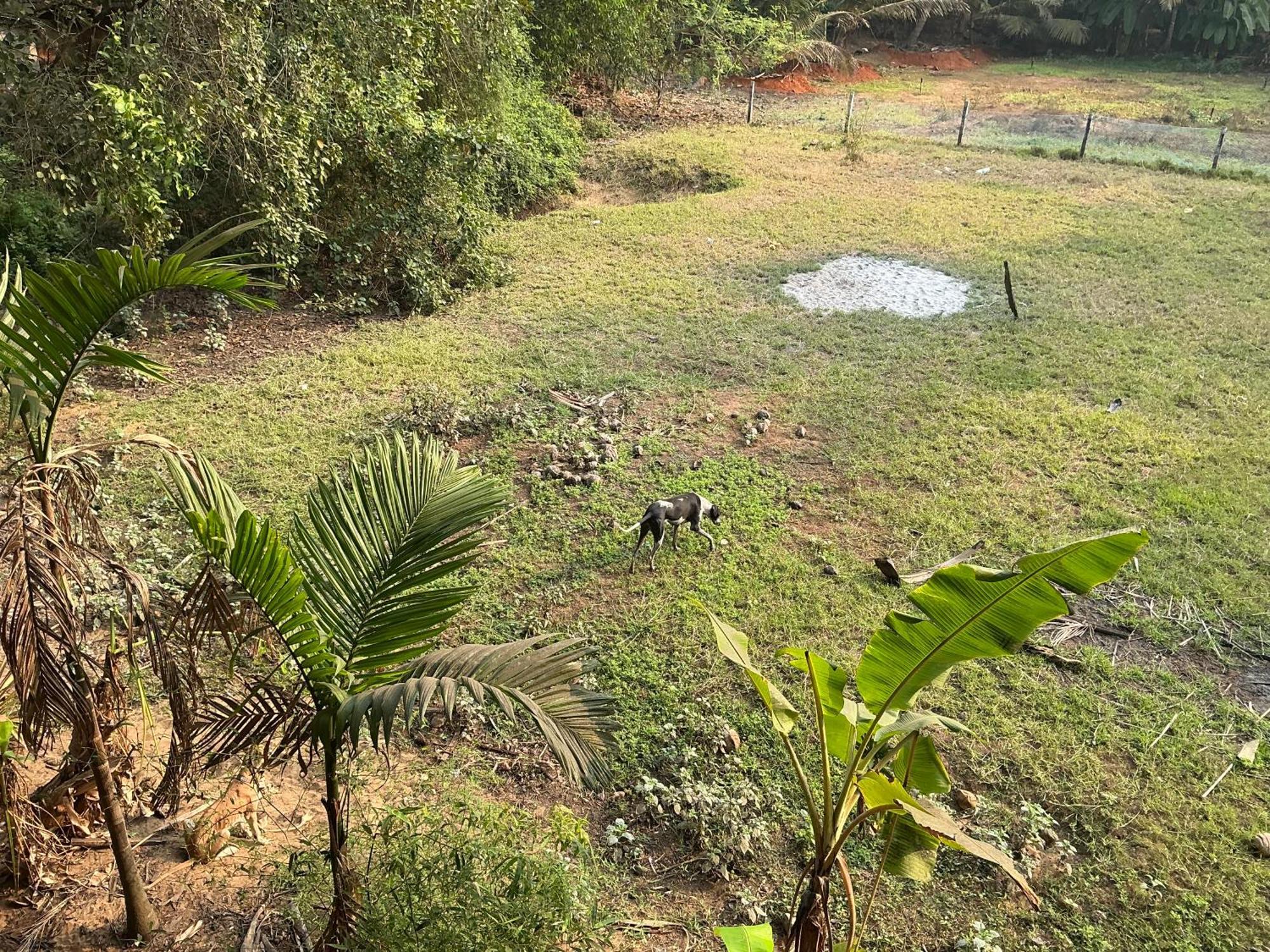 Hostelexp, Gokarna - A Slow-Paced Backpackers Community المظهر الخارجي الصورة